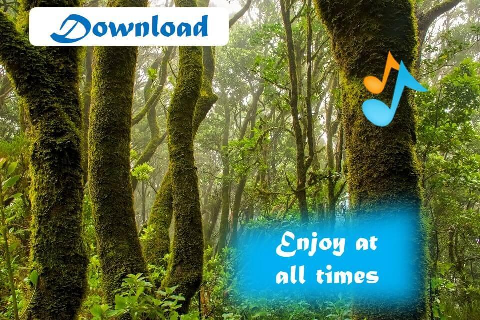 Free download jungle sounds mp3